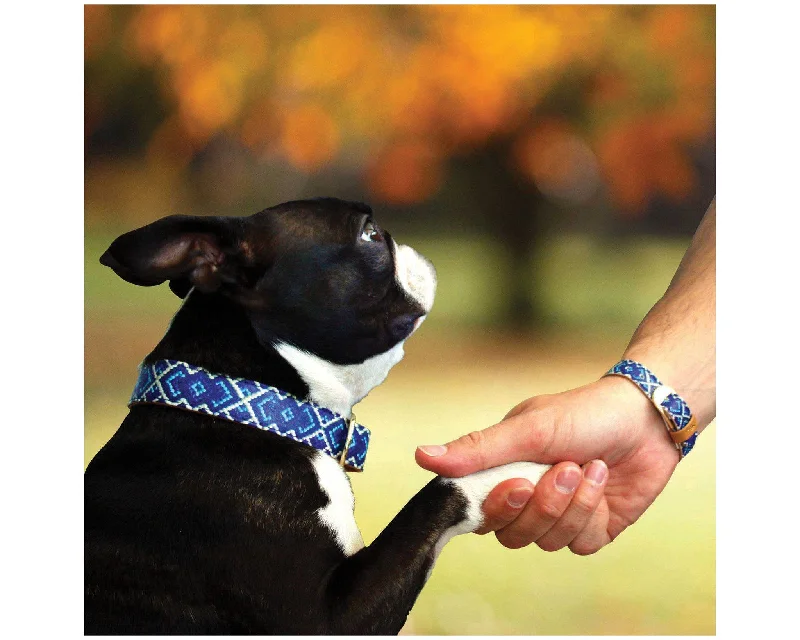 wedding bangles for women -Mucky Pup Friendship Collar & Bracelet Set