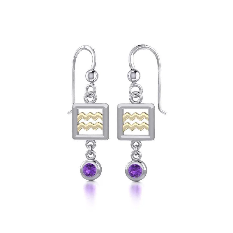 affordable diamond earrings for women -Aquarius Zodiac Sign Silver and Gold Earrings Jewelry with Amethyst MER1767