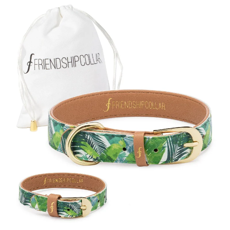 women’s leather bracelets -Saint Barkez Friendship Collar & Bracelet Set