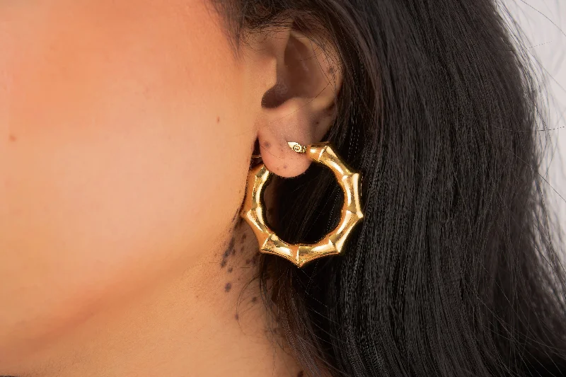 gold drop earrings for women -Nilay Earrings